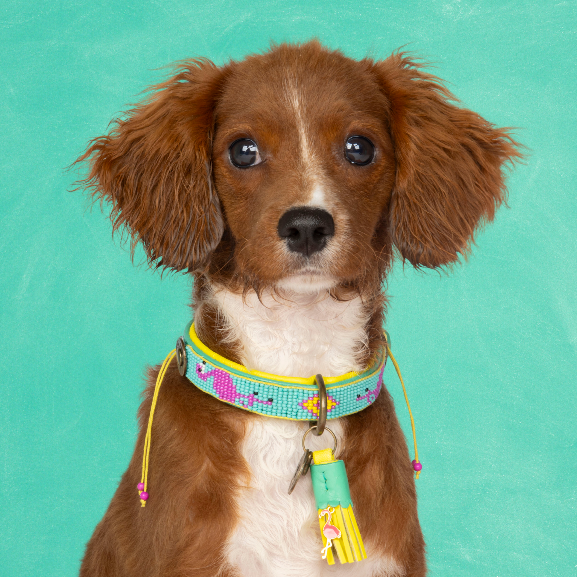 Turquoise hondenhalsband met kralen Chogogo XS - Dog with a Mission gekleurde flamingo halsband extra kleine honden