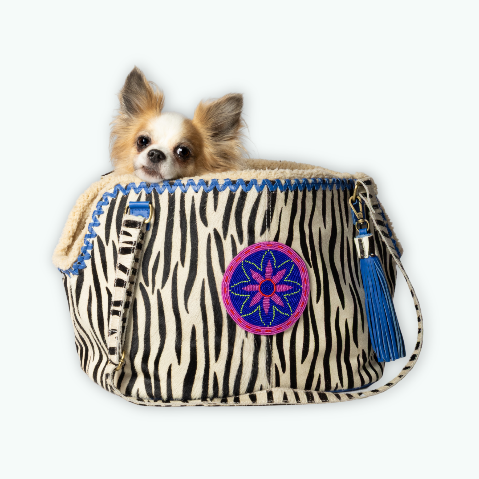 Dandy hondentas zebraprint zwart wit chihuahua