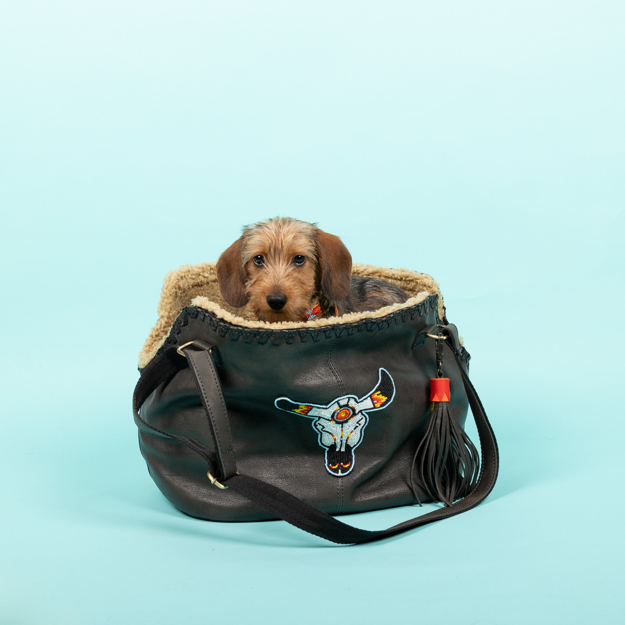 Bandit hondentas Wild Wild West volledig overzicht