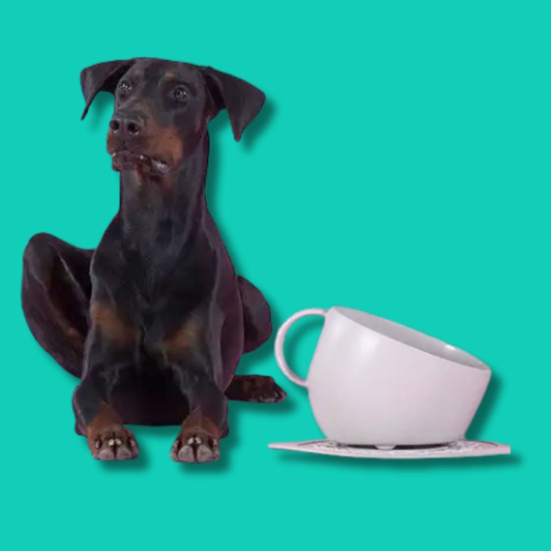 Dog-with-a-mission-Cappucino-bowl-Beige