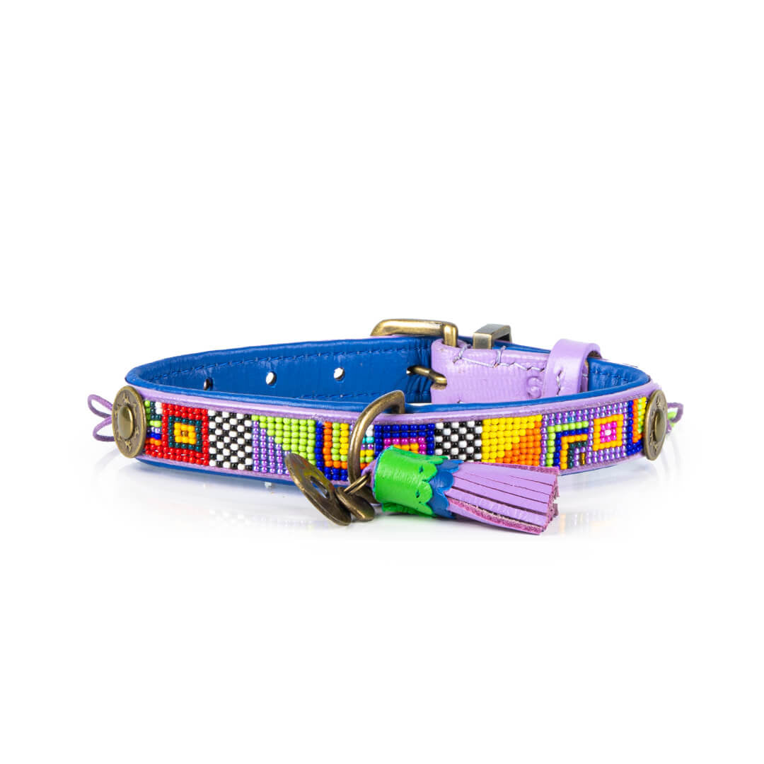 Dog-with-a-mission-collier-pour-chien-Coloré-Violet-Colorpop