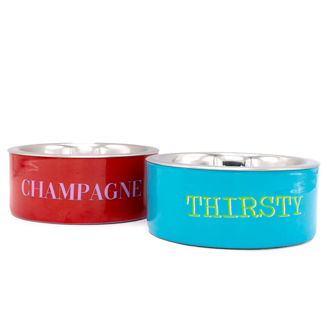 Dog-with-a-mission-dog-bowl-Champagne-thirsty