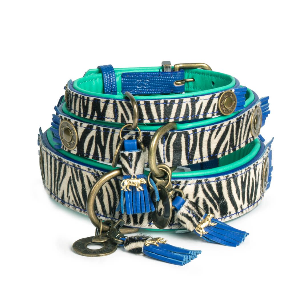 Dandy hondenhalsband collectie - verkrijgbaar in 2 cm, 2,5 cm en 4 cm breedte