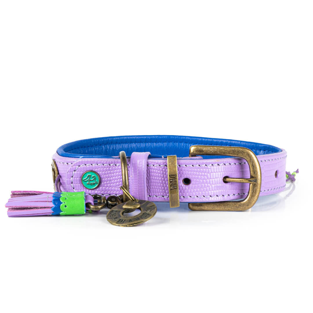 Dog-with-a-mission-Dog-collar-colorful-leader-strong-colorpop