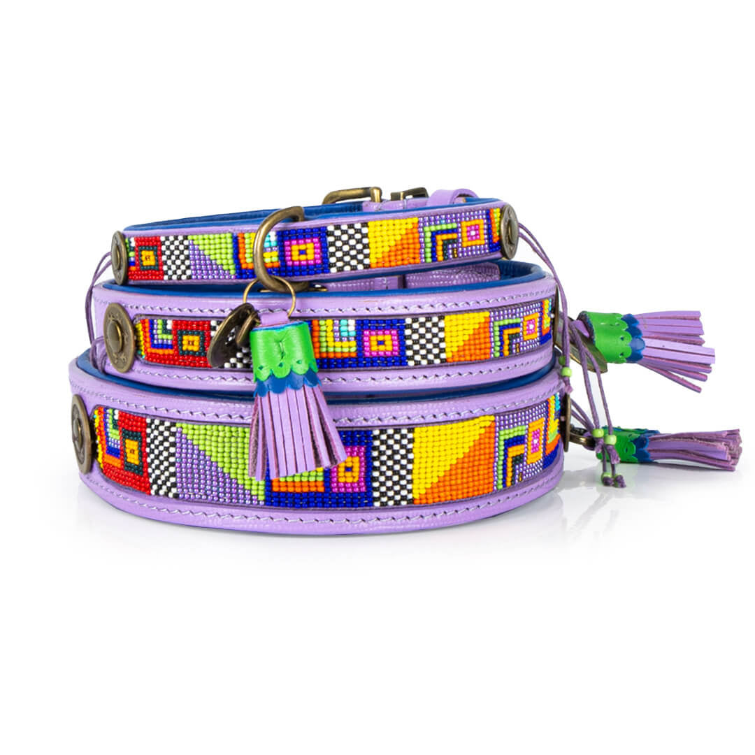 Dog-with-a-mission-Dog-collar-colorful-purple-colorpop