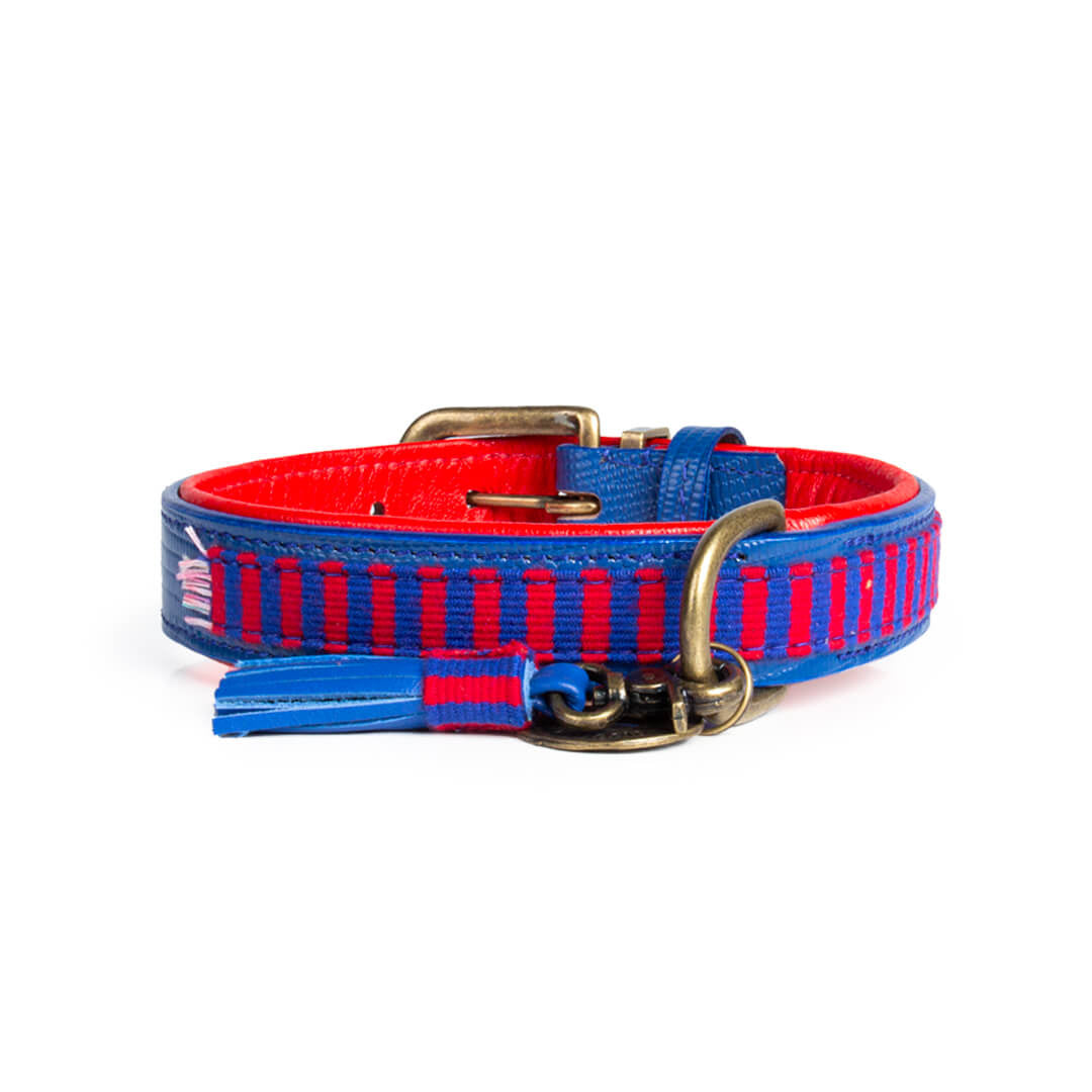 Dog-with-a-mission-Dog-collar-colorful-red-blue-Mr-Clooney