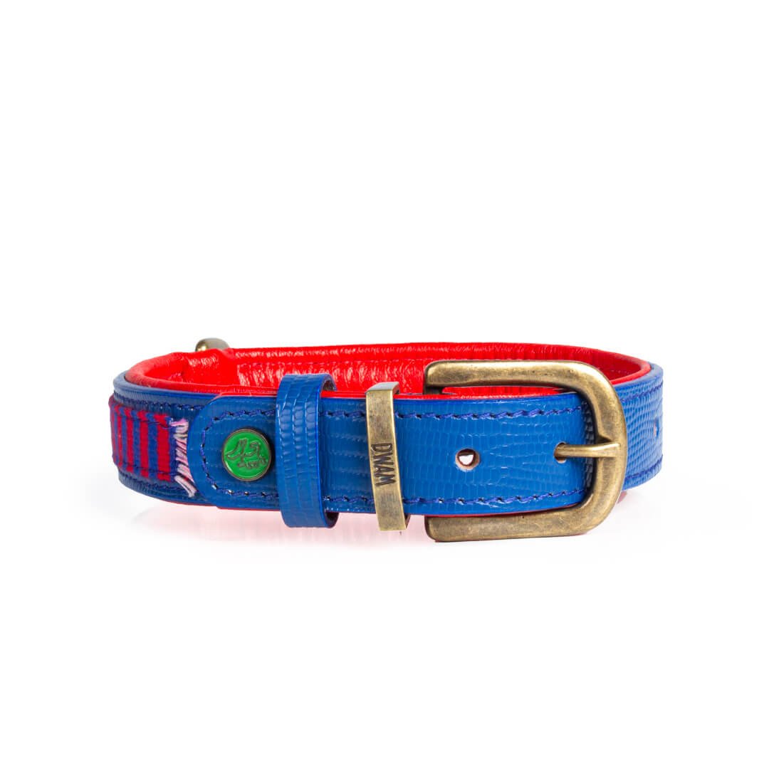 Dog-with-a-mission-Dog-collar-unique-mr-clooney