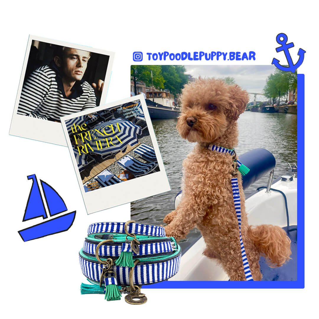 Dog-with-a-mission-dog-fashion-stripes-boat