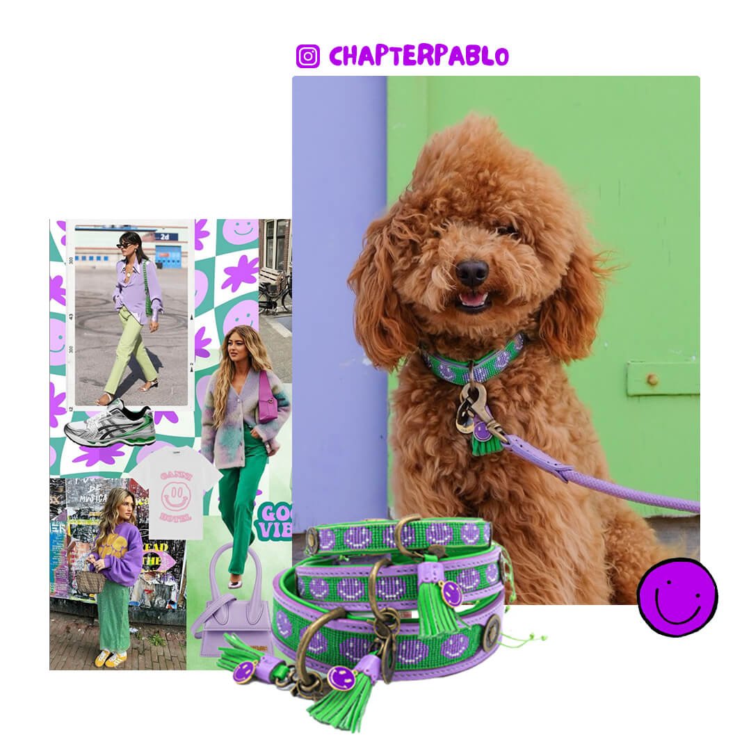 Dog-with-a-mission-dogfashion-inspiration-Smiley