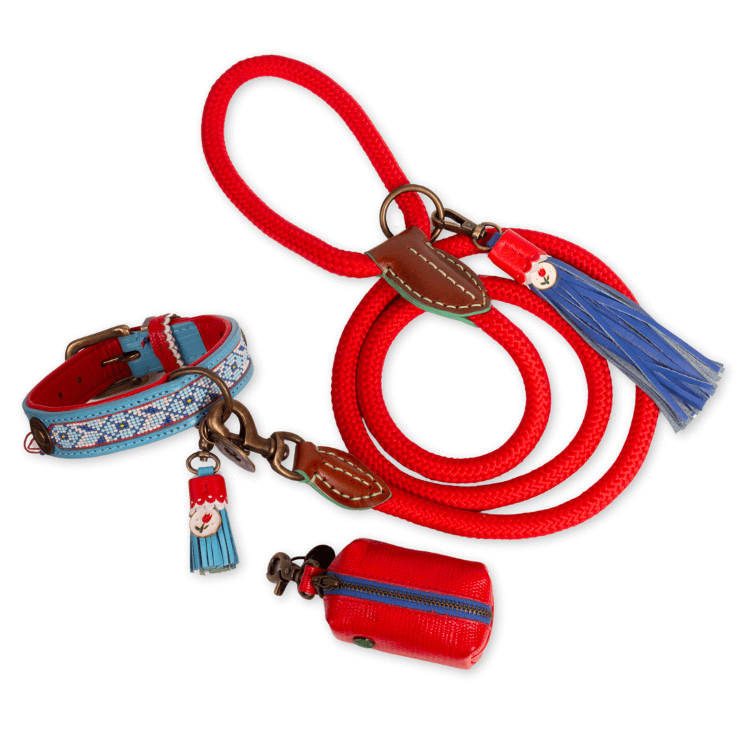 Dog-with-a-mission-Dutch-Design-New-collection-Dutchie