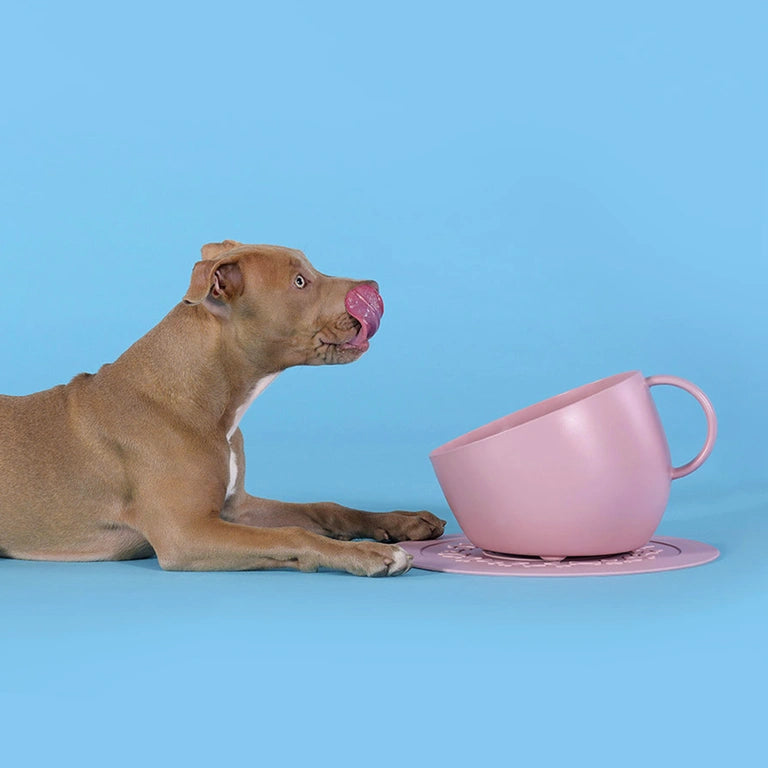 Dog-with-a-mission-Gamelle-Eau-Set-Rose