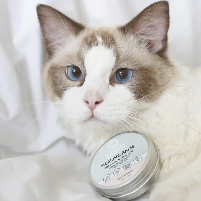 Dog-with-a-mission-healing-balm-healthy-paws-for-skin-irritations-minor-cuts-cats-dogs