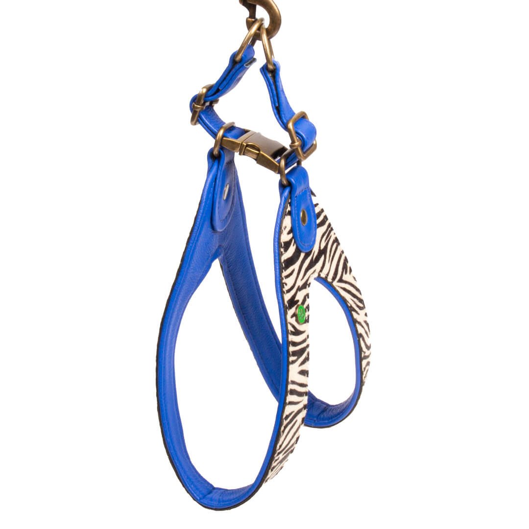 Dog-with-a-mission-honden-tuigje-zebra-dierenprint-dandy