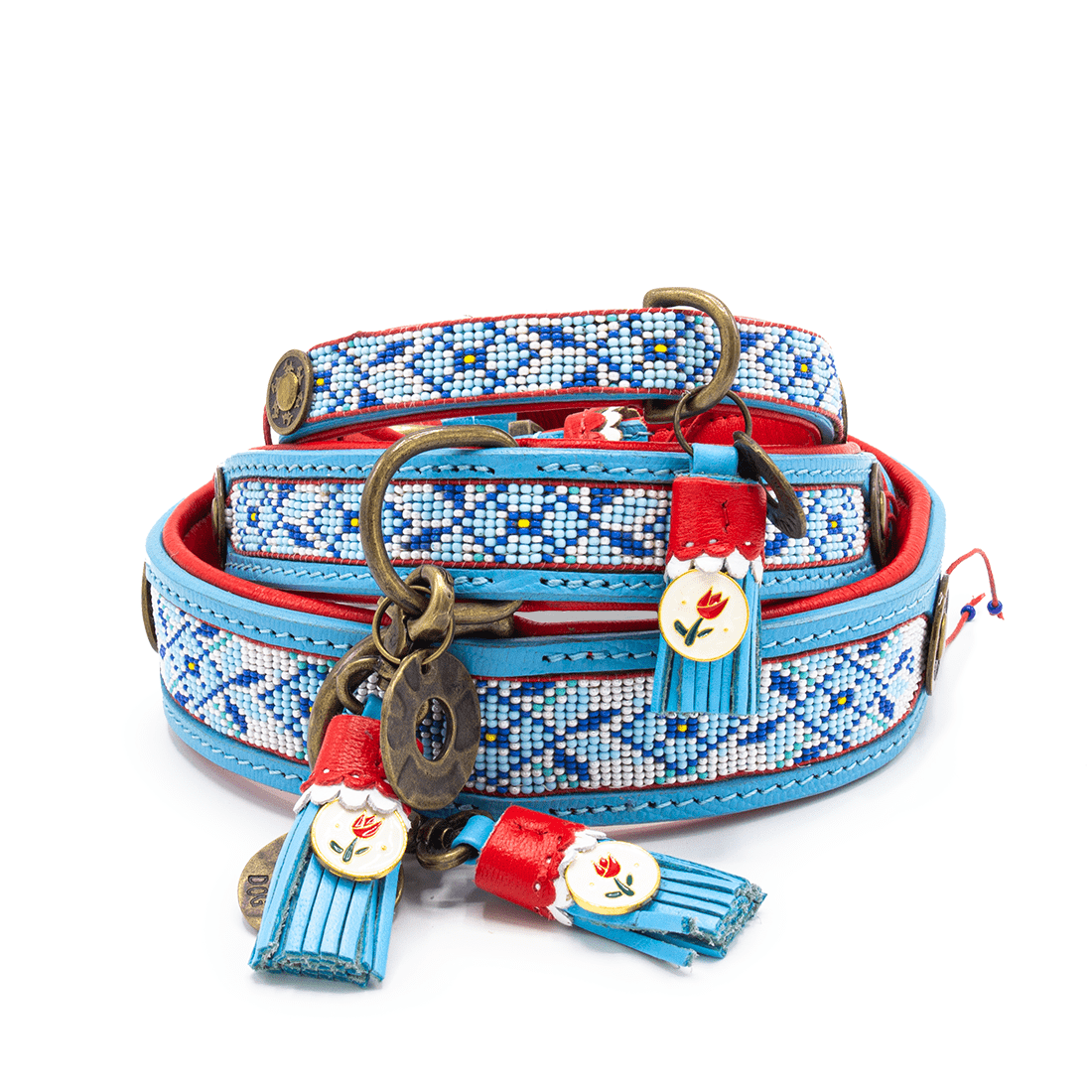 Dog-with-a-mission-Hondenhalsband-Dutchie