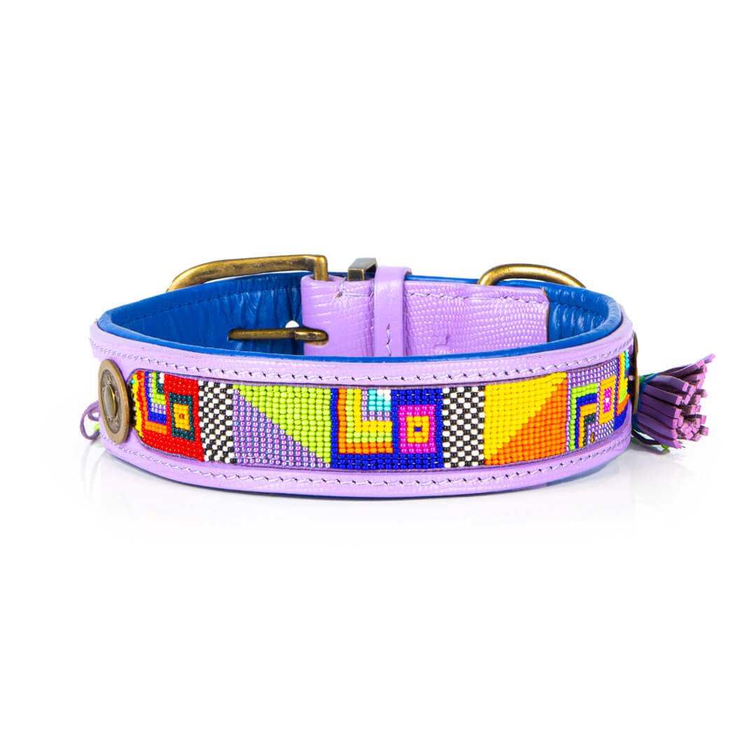 Dog-with-a-mission-hondenhalsband-kleurrijk-paars-colorpop