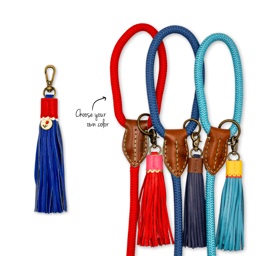 Dog-with-a-mission-hondenriemen-kleurrijk-dutchie