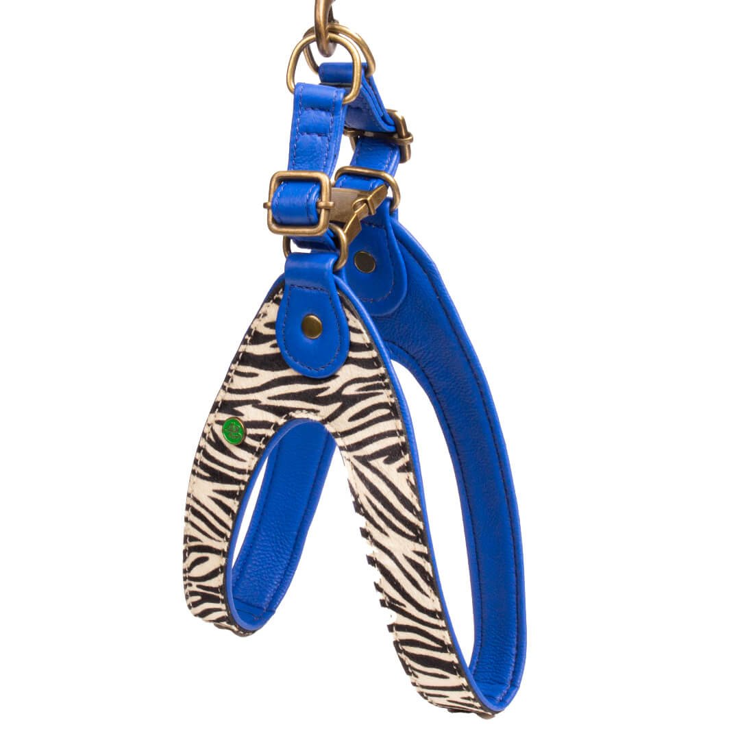 Dog-with-a-mission-hunde-geschirre-Tierdruck-dandy