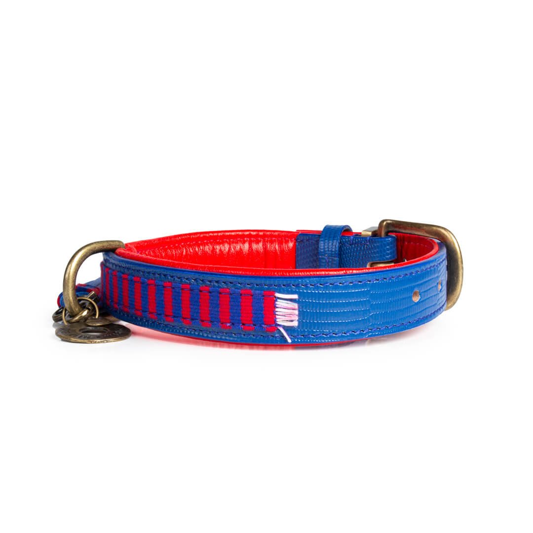 Dog-with-a-mission-hunde-halsband-leder-mr-clooney
