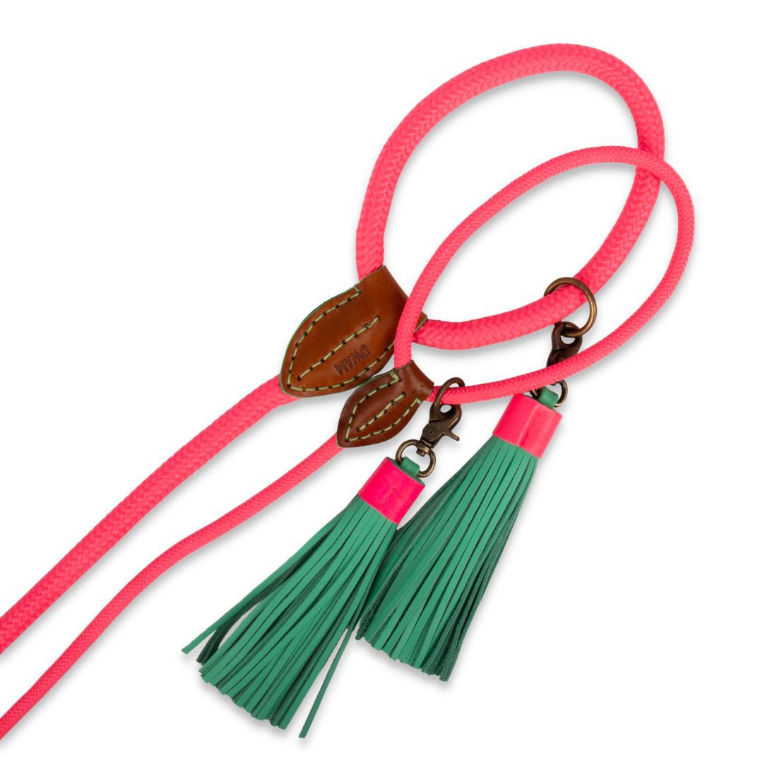 Dog-with-a-Mission_Laisse-en-Cuir-Rose-turquoise-chien