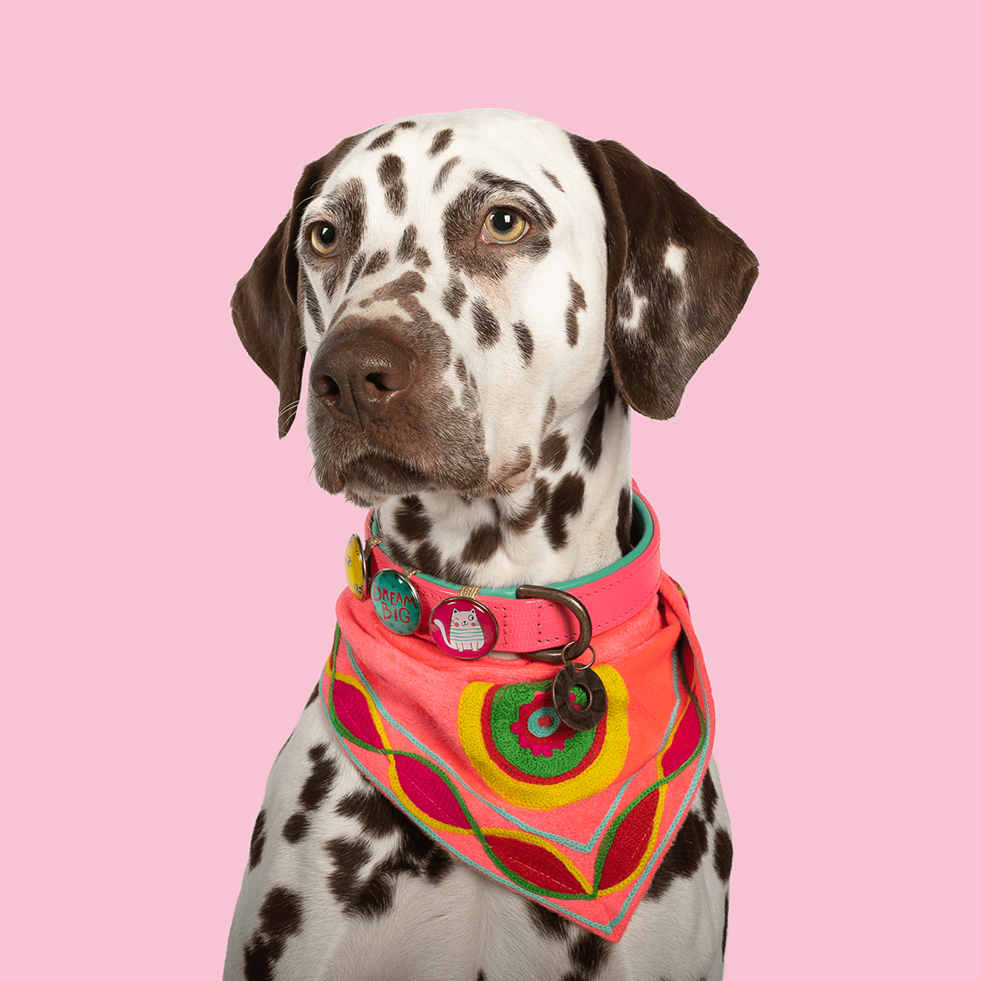 DOG-WITH-A-MISSION-POPPY_BANDANA_BLOOM-MIAMISPICE_COLLAR