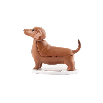 dog-with-a-mission-Solar-Dachshund-teckel-boudewijn
