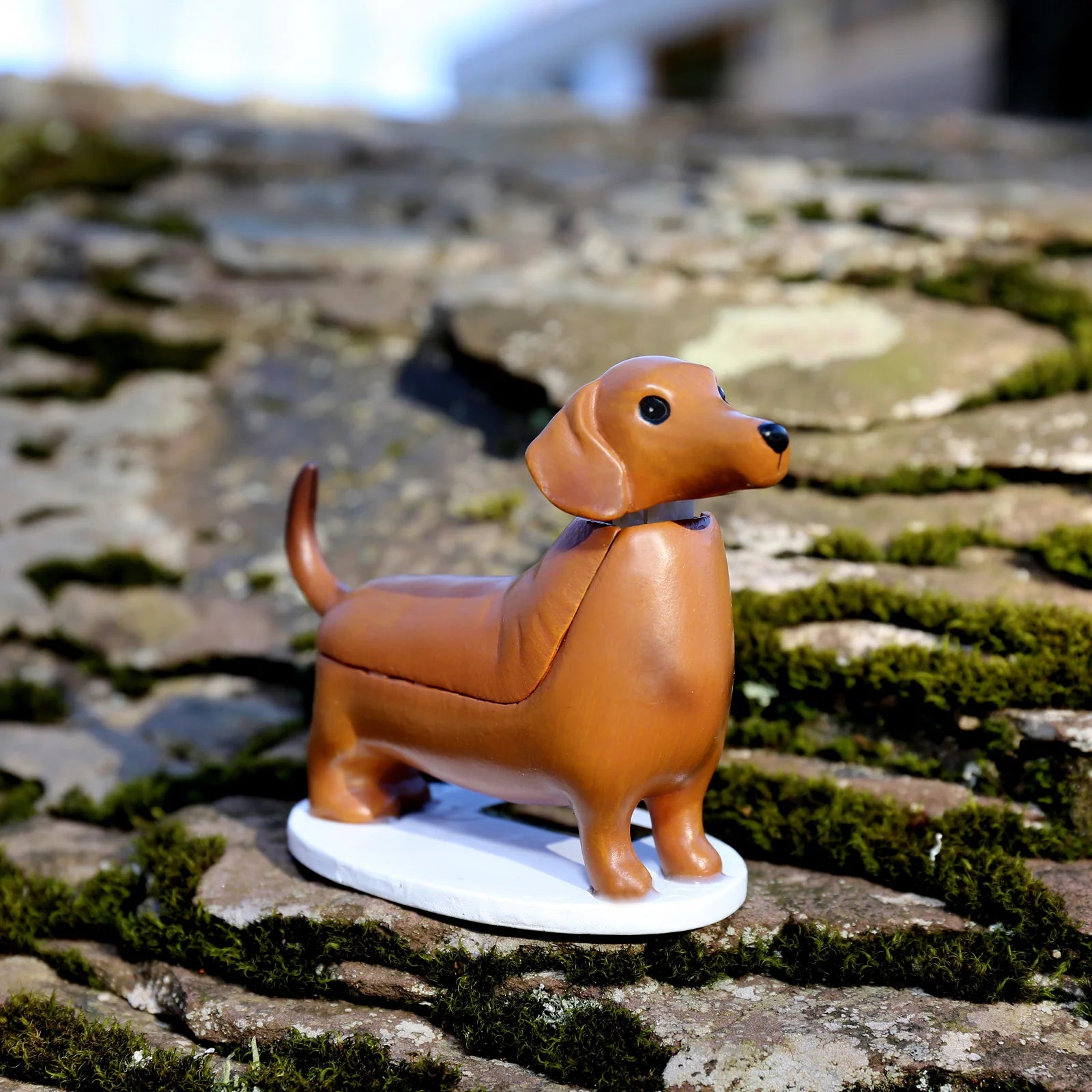 dog-with-a-mission-Solar-Dachshund-teckel-boudewijn