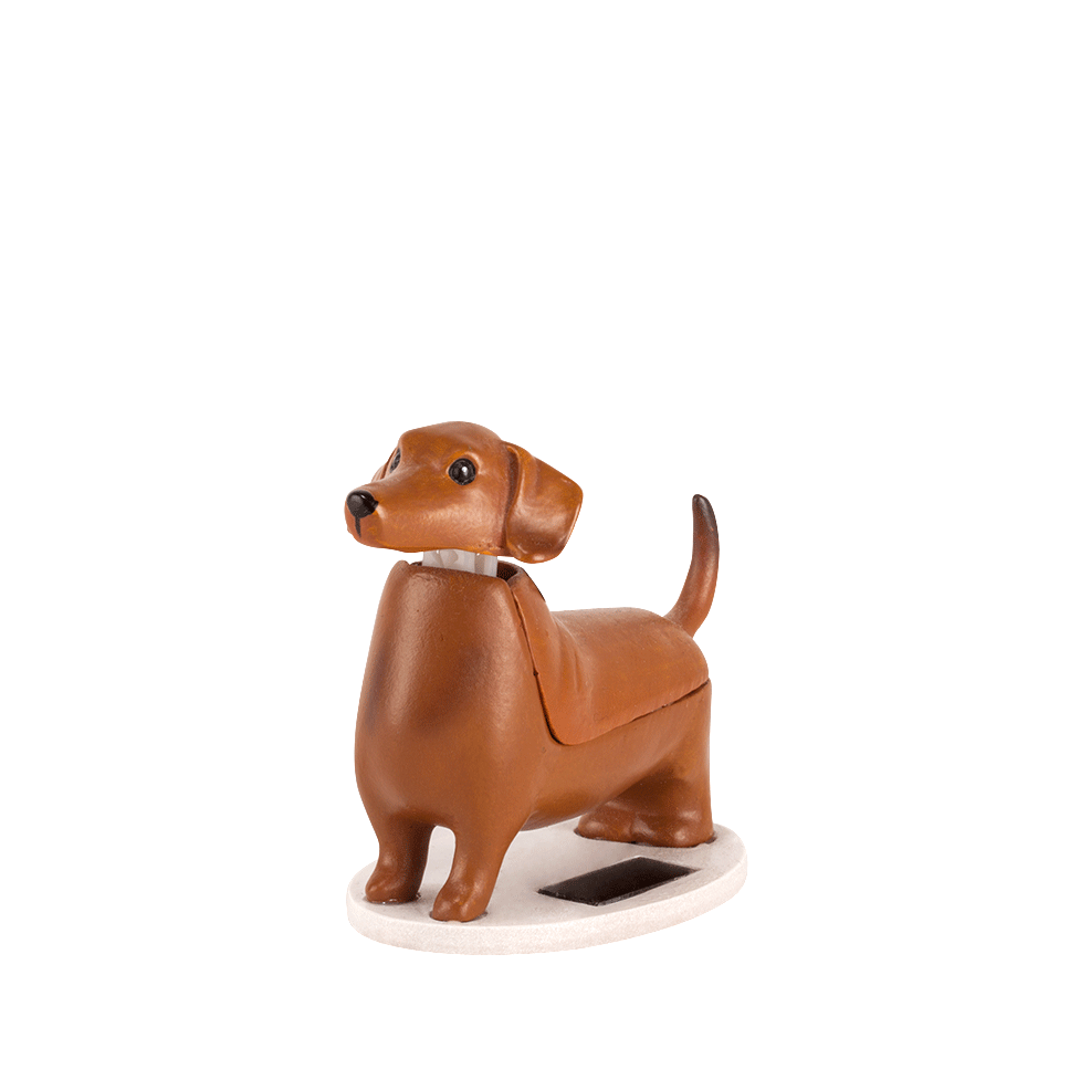 dog-with-a-mission-Solar-Dachshund-teckel-boudewijn