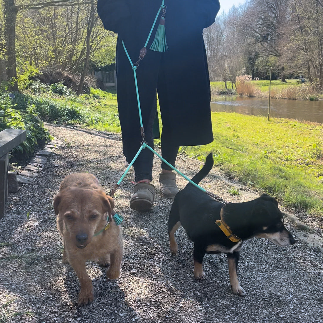 Dog-with-a-Mission-Turquoise-Splitter-jade-Lead