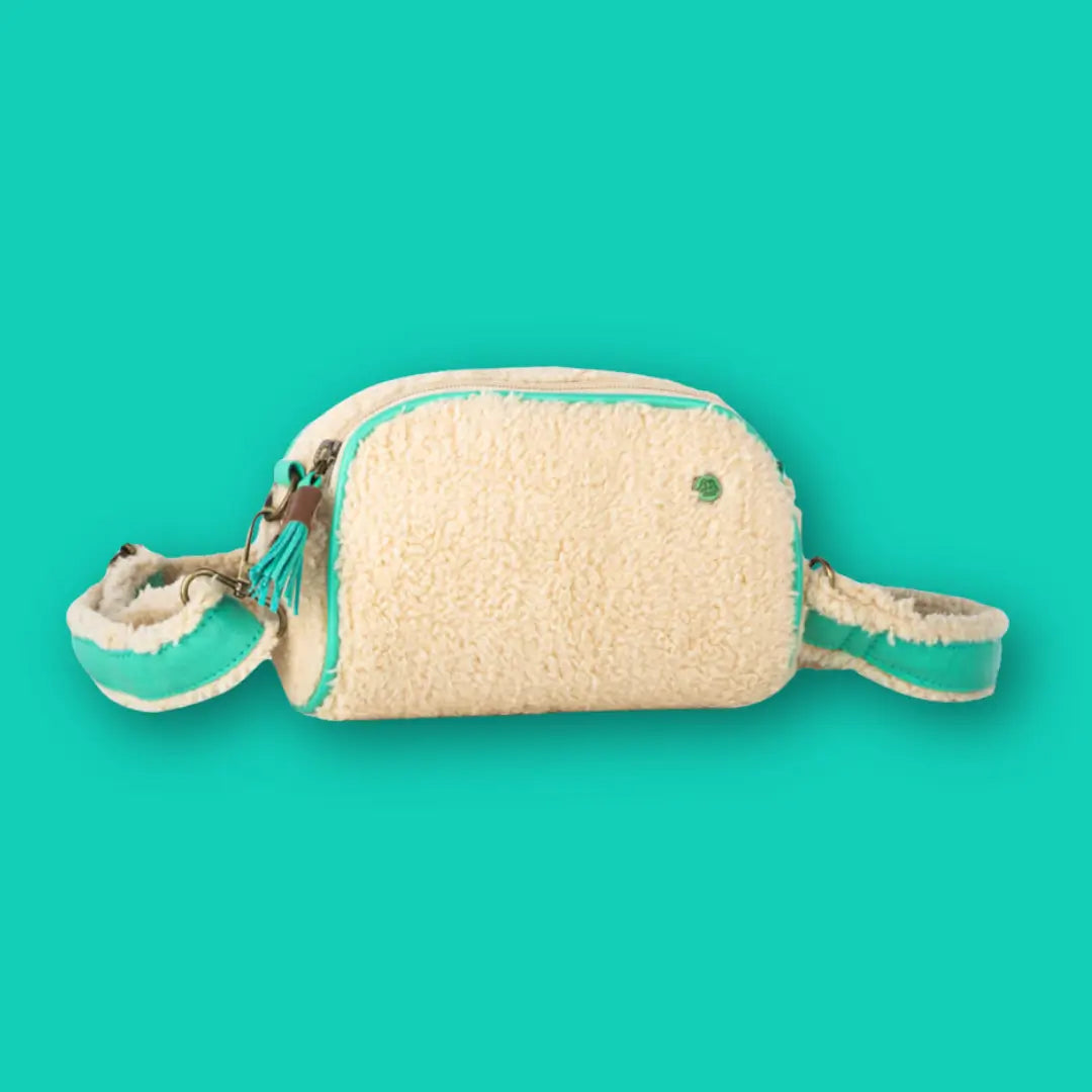 Dog-with-a-mission-Walk-The-Dog