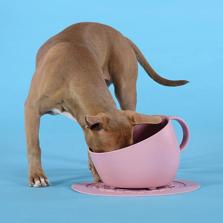Dog-with-a-mission-Wasser-Futter-Naph-Rosa