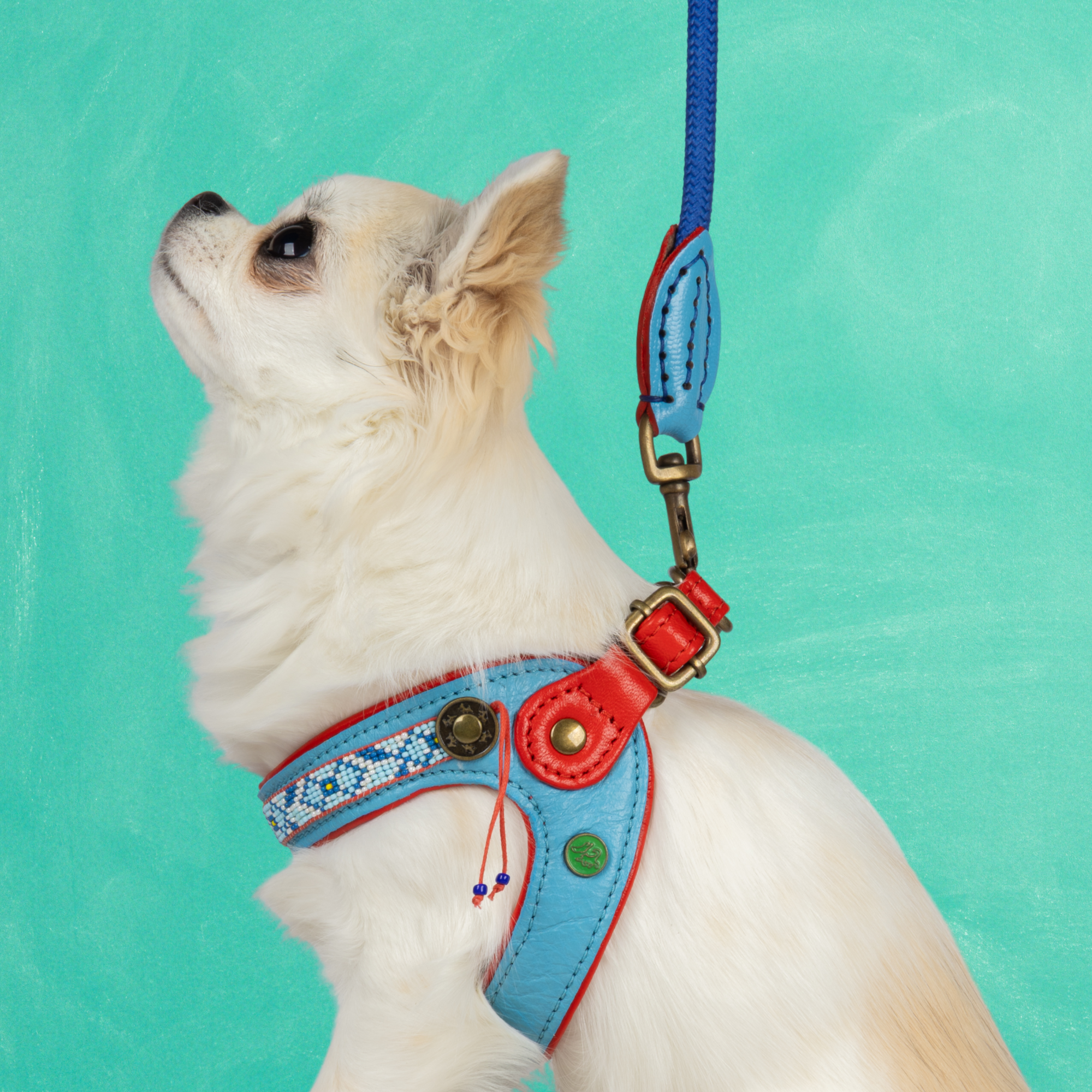 Dutchie Hundegeschirr Größe 3 (32-37 cm)