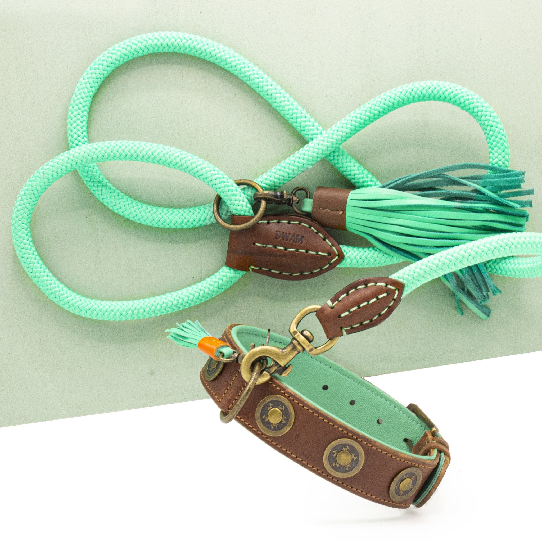 Dogwithamission_Collar_Urban-Jade-style