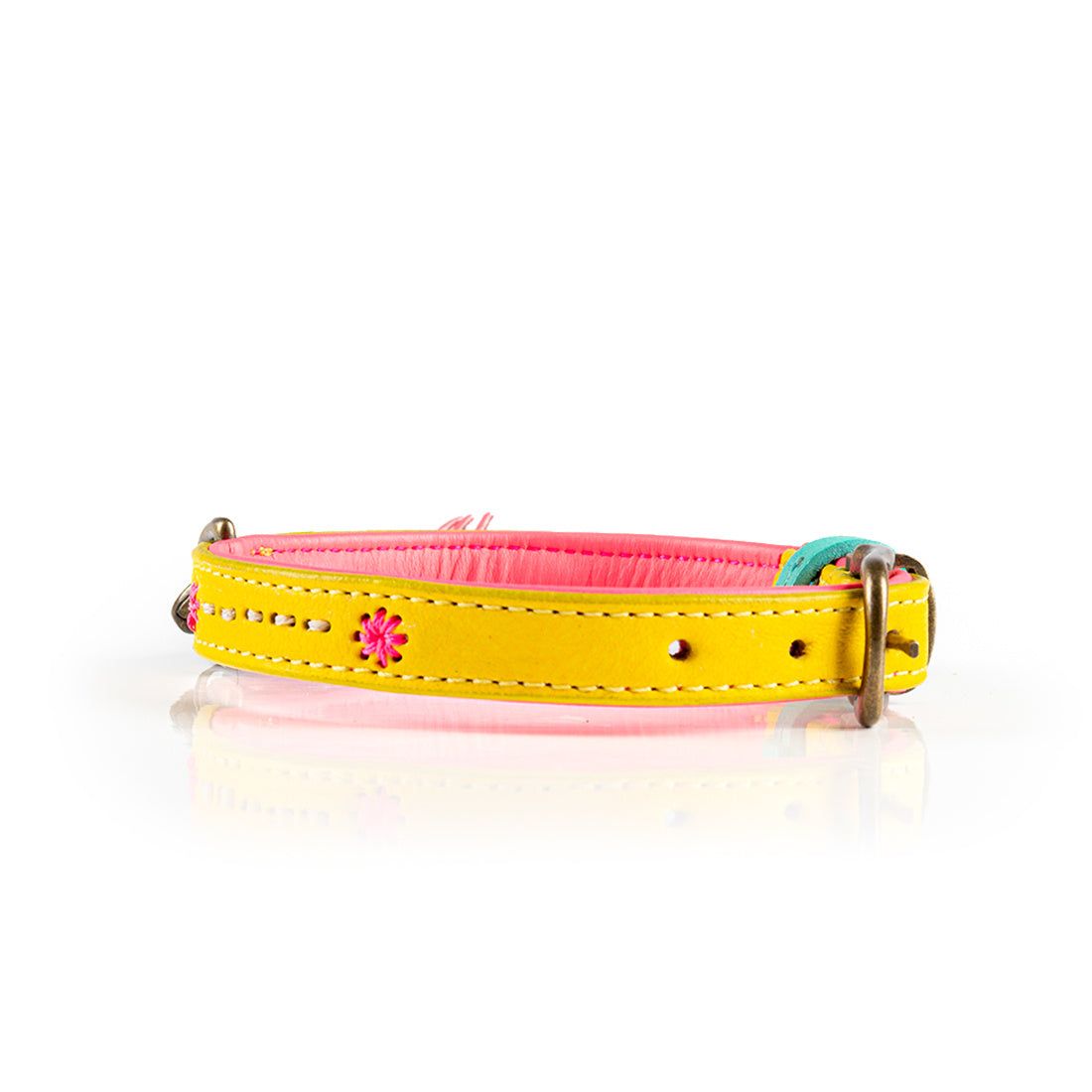 Dogwithamission_halsband-SS21_URBAN-JESSY-S2-2021-LS