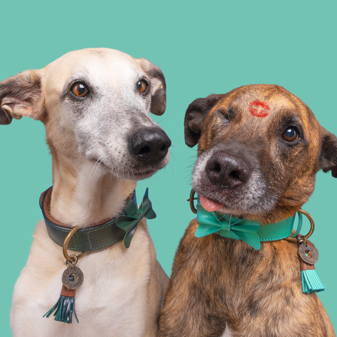 DWAM_FW21-CITYC-PHOTOSHOOT-BOOMER-2