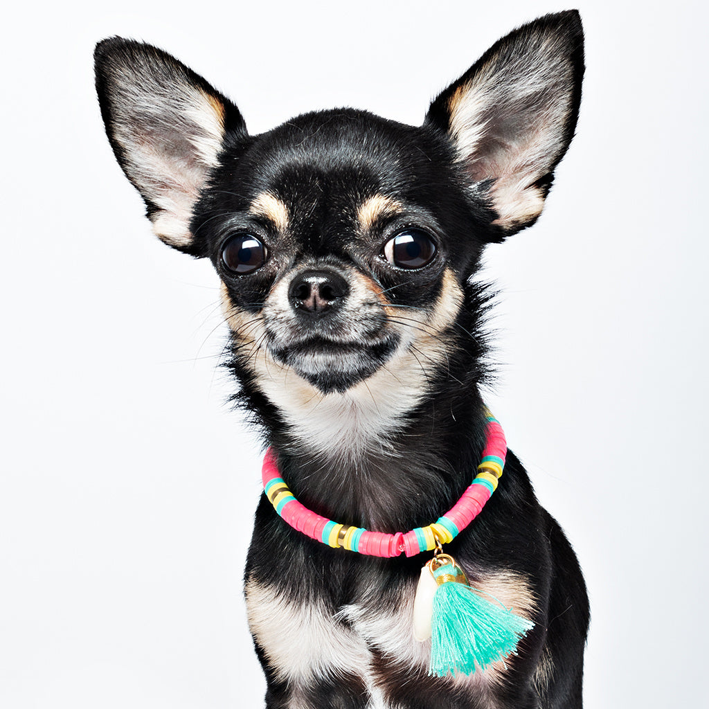 DWAM_NECKLACE-BondiBeach-model1