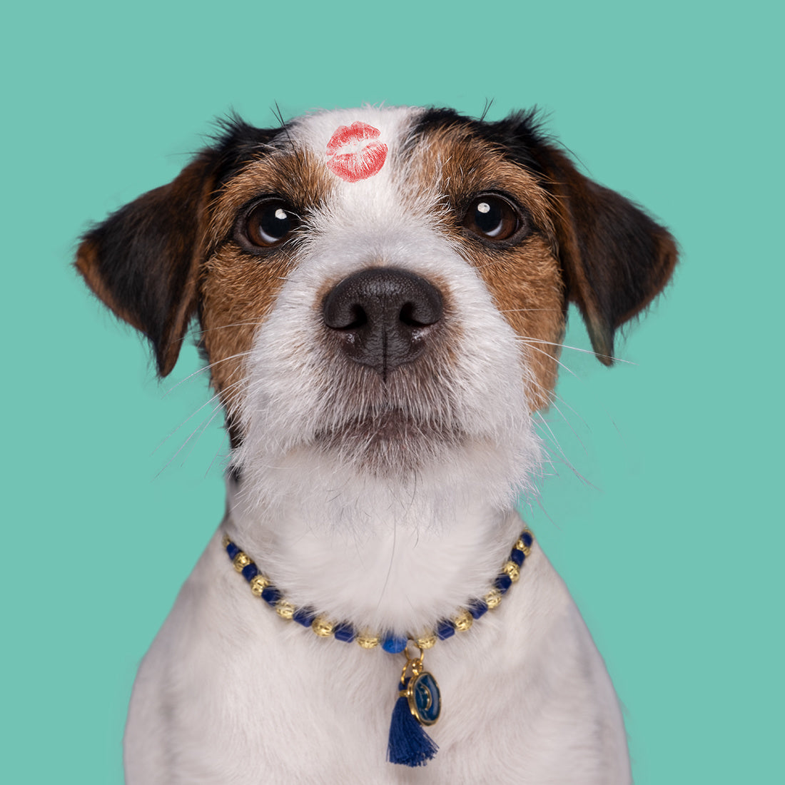 DWAM_NOOS-NECKLACES-CHRISSY