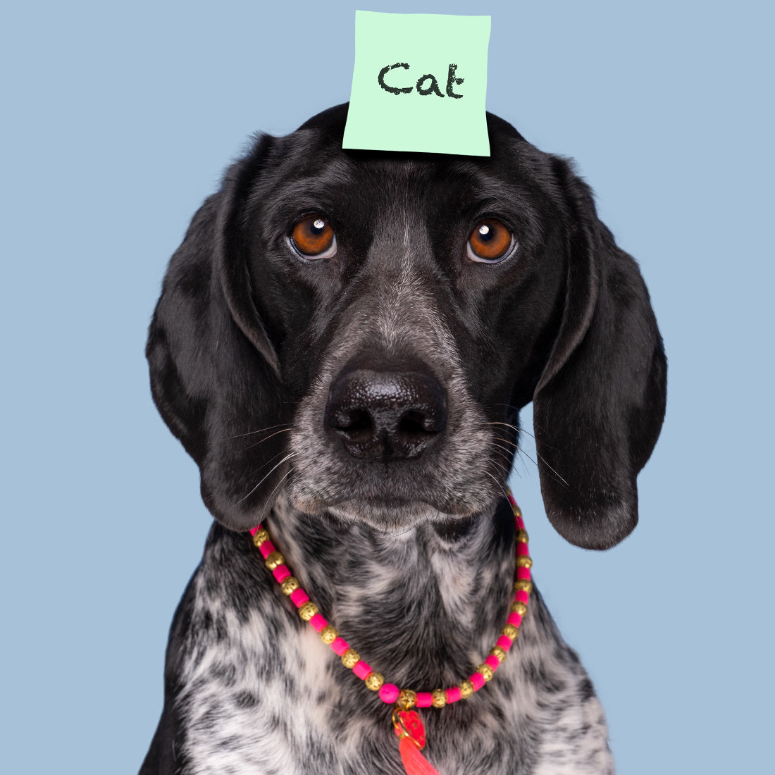 DWAM_NOOS-NECKLACES-CINDY