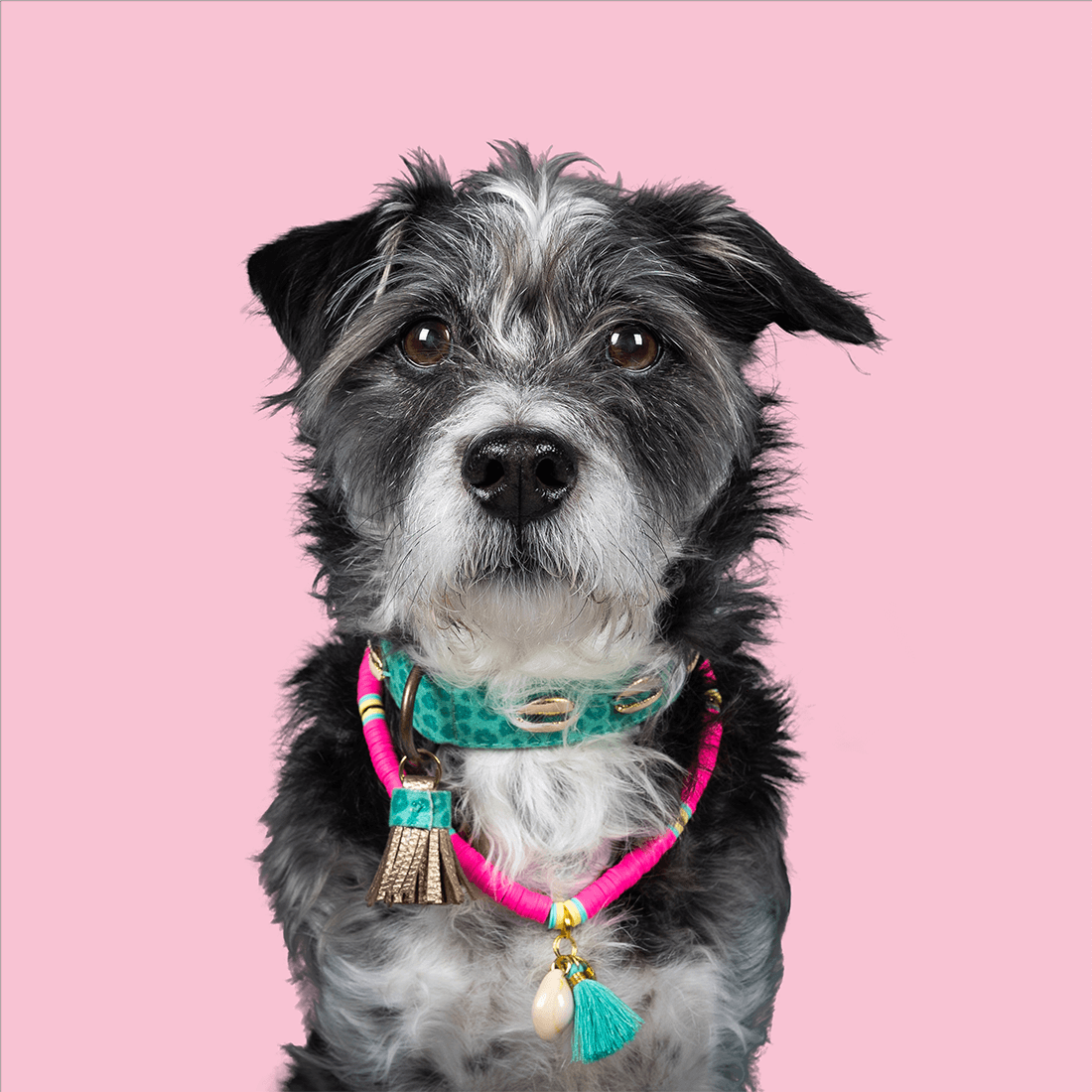 DWAM_SS23_WAIKIKI_COLLAR_BONDI_BEACH_NECKLACE_1100x1100px