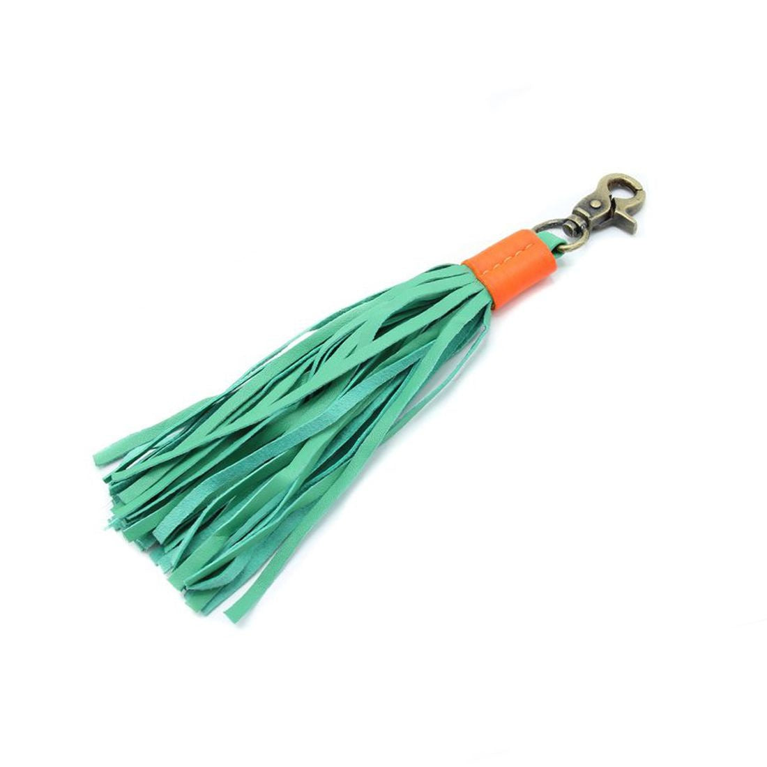 DWAM_turquoise-sleutelhanger-leash-8686