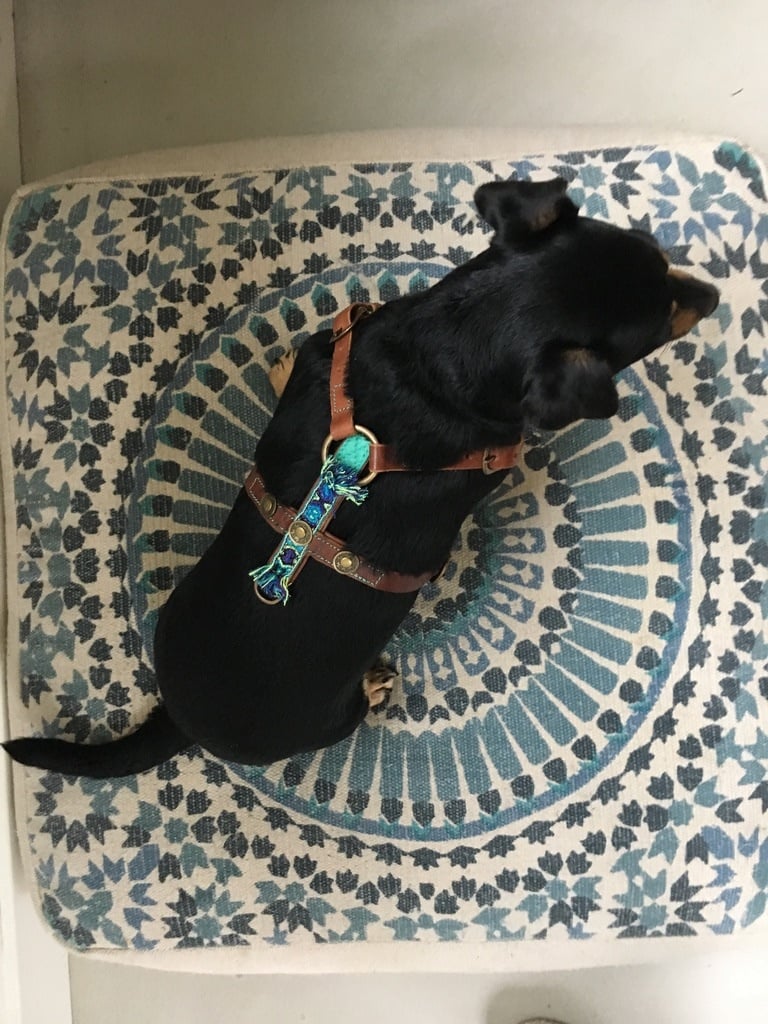 F95C4446-2800-4144-AD22-0D23B4C6448B_1_105_c