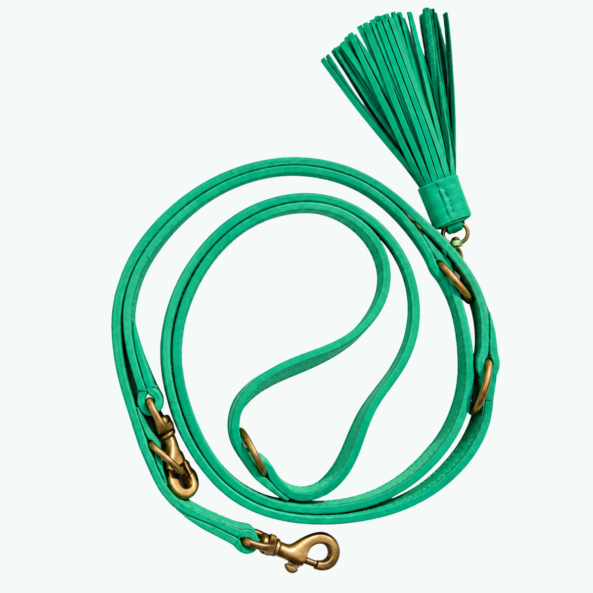 Free Spirit hondenriem L van Dog with a Mission: extra lange turquoise leren hondenriem, 250 cm en verstelbaar