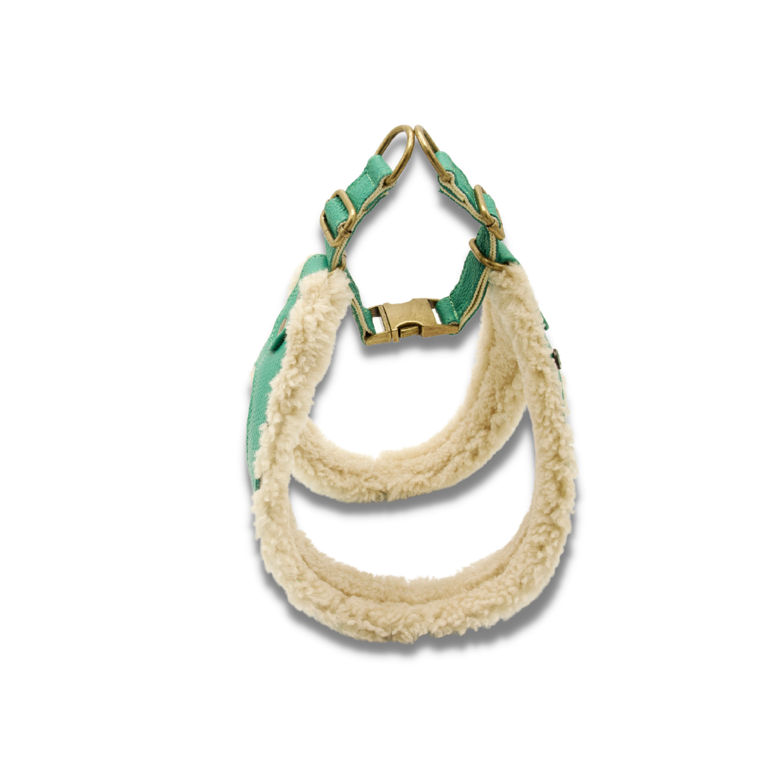 Frenkie DWAM Dog with a Mission Dog harness