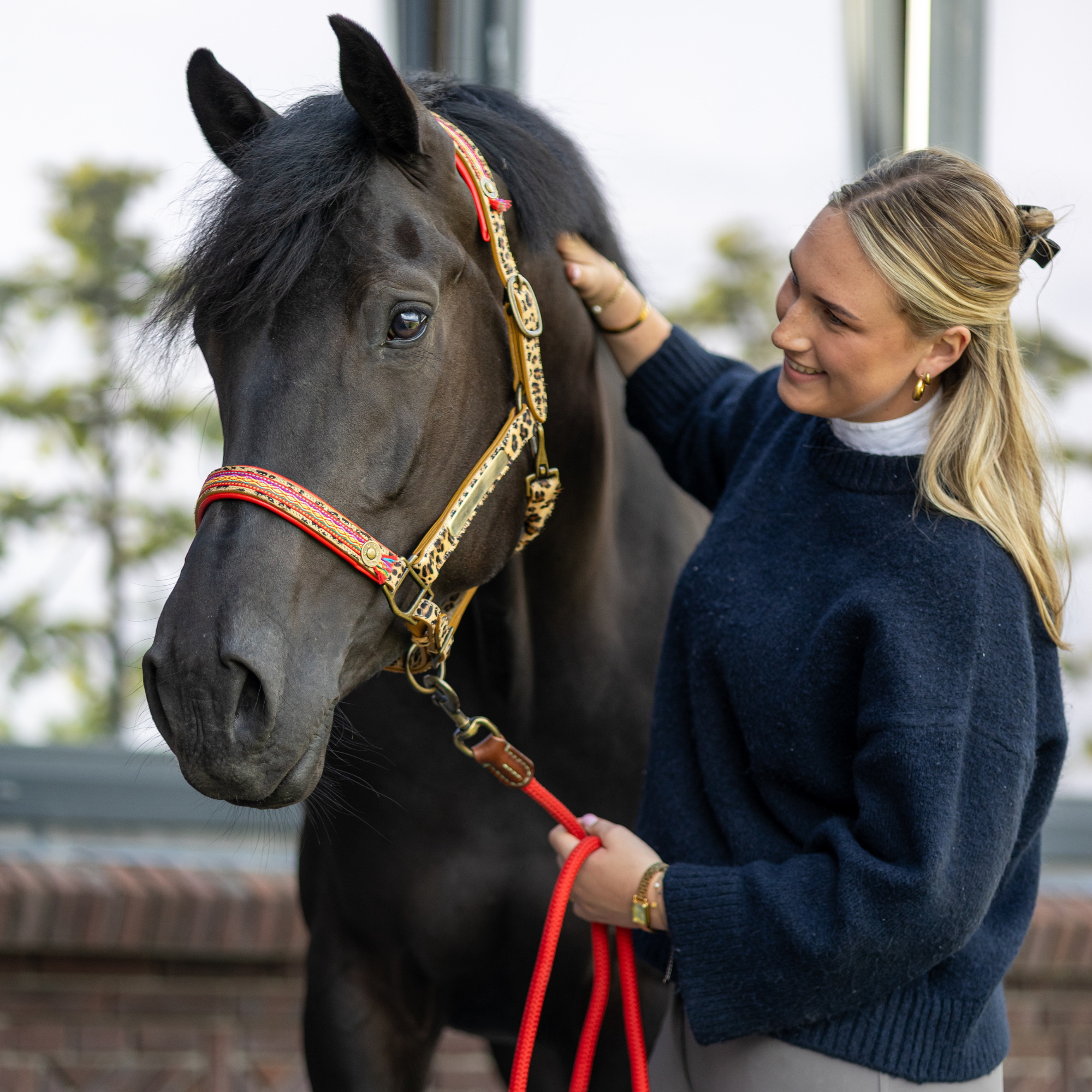 Gypsy Paardenhalster - Full