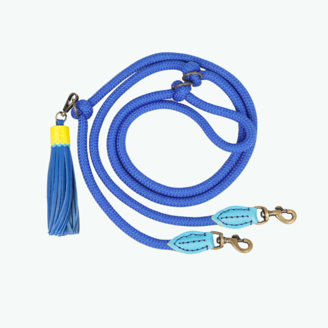 hondenriem - Sky - Dog with a Mission-2