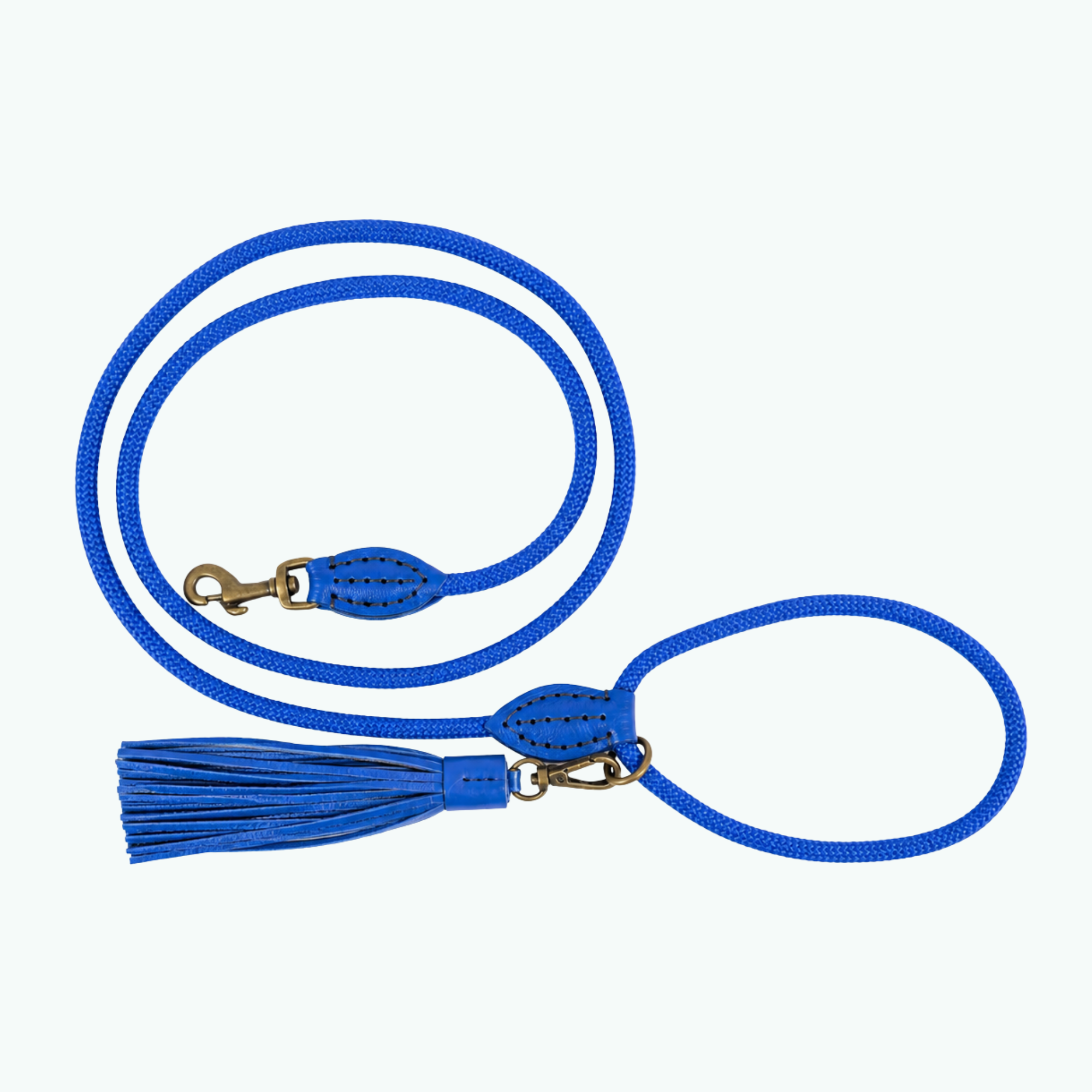 Indigo Hundeleine S (165 cm x 1 cm)