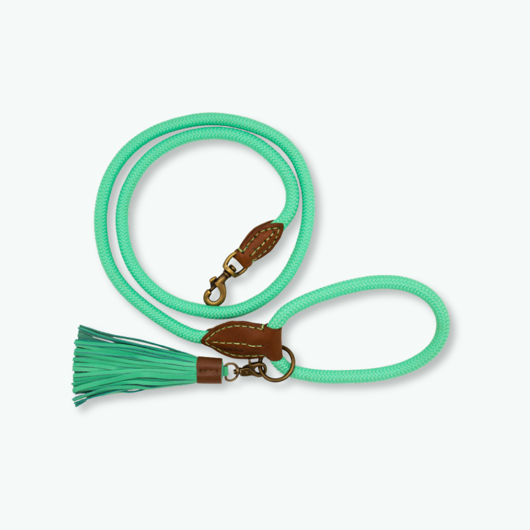 Handgemaakte touw hondenriem Jade (maat L) in de kenmerkende DWAM-turquoise kleur, 1,65 meter lang met bruin leer, messing beslag en een bijpassende tassel.