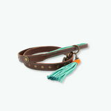 Joe Dog Leash