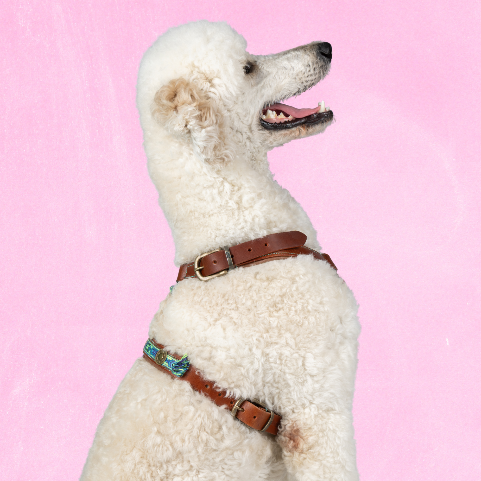 Boho Juan Tuigje L (63-76 cm)