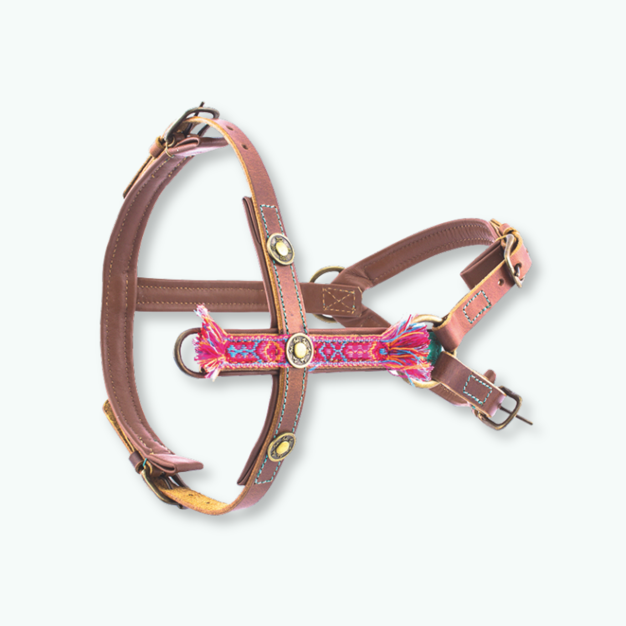 Juan_Tuigje_Dog with a Mission_DWAM (2)