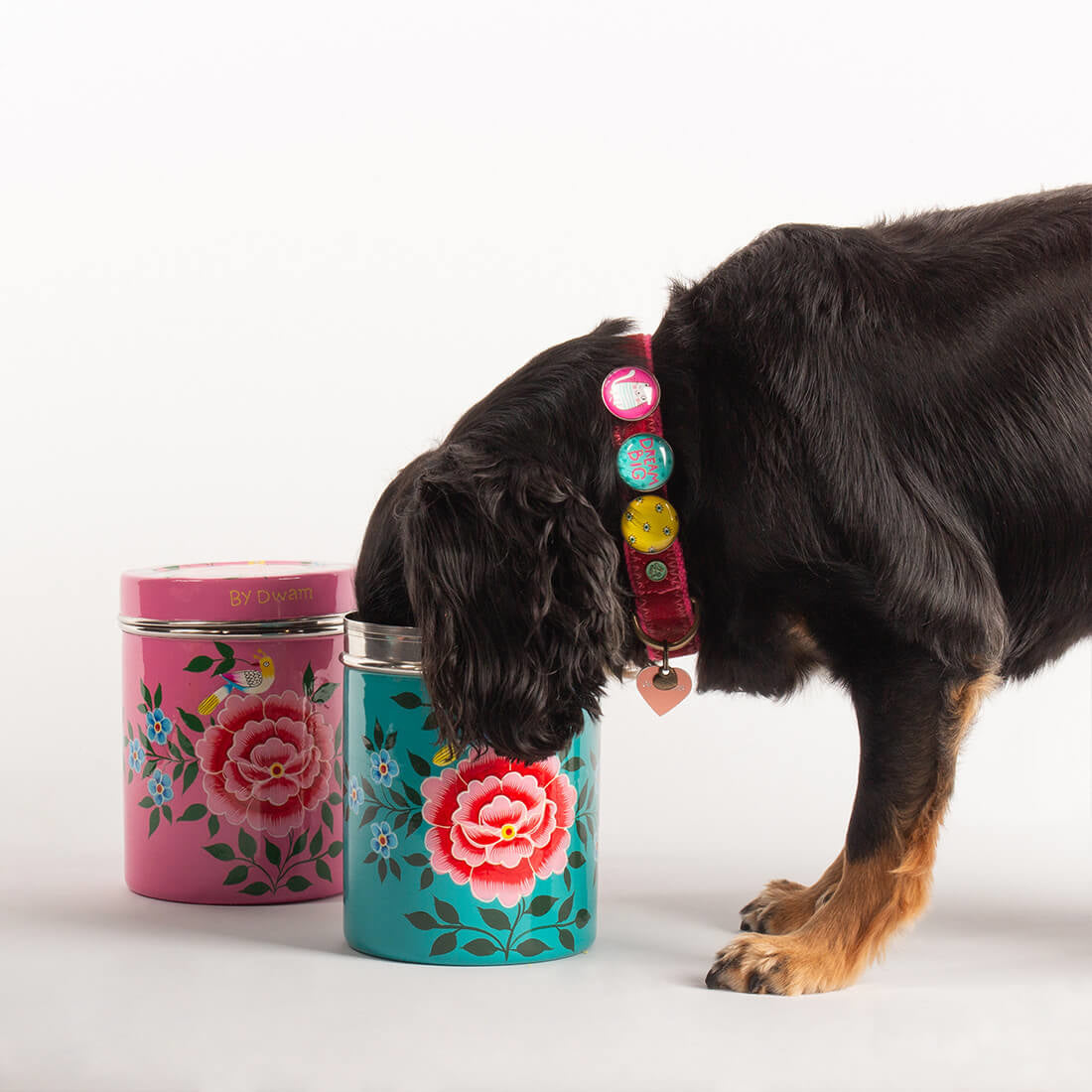 KOEKBLIK_FLOWERFEST3_ROZE_TURQUOISE_METHOND_DWAM_DOGWITHAMISSION_1100x1100px